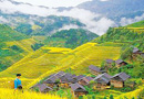 Longji Rice Terraces and Ninority Villages
