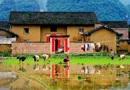 Yangshuo Countryside Cycling