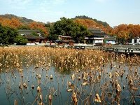 Hangzhou West Lake Scenery in November