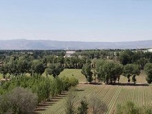 Hohhot August Scenery