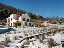 Hohhot January Scenery
