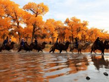 Hohhot September Scenery