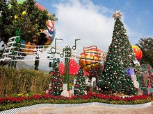 Hong Kong December Scenery