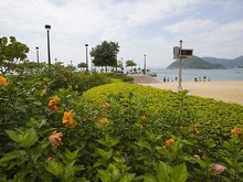 Hong Kong March Scenery
