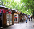 Zhengyang Pedestrain Street Zhengyang Pedestrain Street