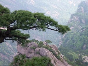 Huangshan May Weather