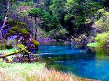 Jiuzhaigou lake in Autumn