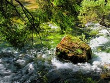 Jiuzhaigou Scenery in May