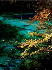 Jiuzhaigou Scenery in October