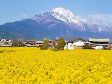 Jade Dragon Snow Mountain