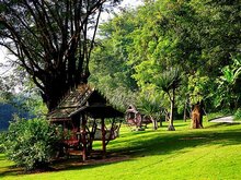 Xishuangbanna Area