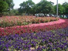 Lanzhou Scenery in March