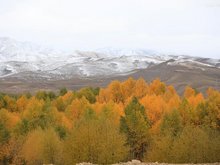 Lanzhou Scenery in October