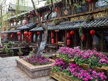 Lijiang Spring Scenery