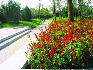 Macau Desheng Park