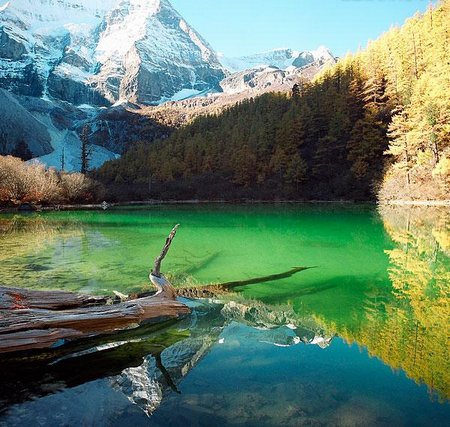 The Autumn Scenery in Daocheng