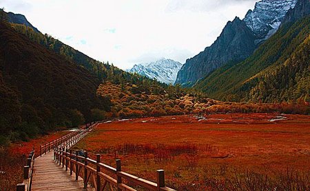 The Autumn Scenery in Daocheng