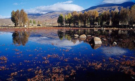 The Autumn Scenery in Daocheng