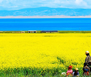 Qinghai Lake