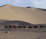  Camel Ride