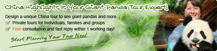 Customize a Panda Tour