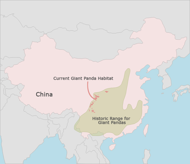 giant panda map