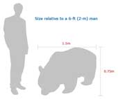 Panda Size