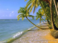 Tropical Beach