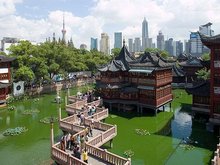 Shanghai April Scenery