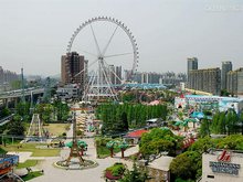 Shanghai July Scenery