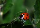 Shanghai Natural Wild Insect Kingdom