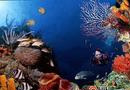 Shanghai Ocean Aquarium