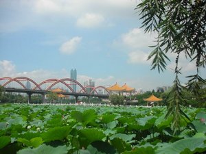 Shenzhen June Weather