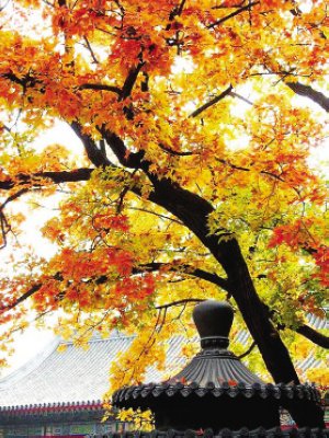 Shenzhen September Weather