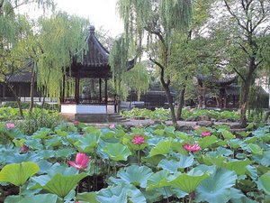 Lotus Festival in the Humble Administrators Garden