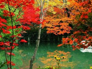 Tianping Autumn Leaves Festival