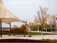 Tianjin Autumn Scenery