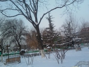 Tianjin Snowing Weather