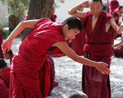 Monks dabate at Sera Monastery