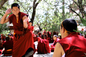 Monk debate in Sera Monastery