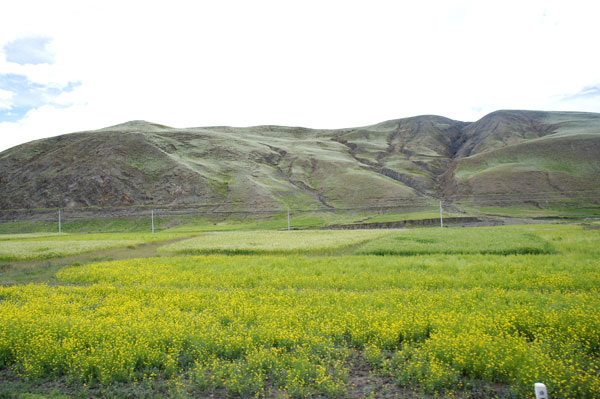 Beautiful landscape