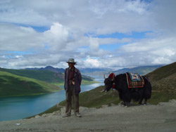 Tibet Facts