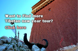 Tibetan New Year Tour 2008