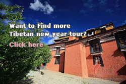Tibetan New Year Tour 2008