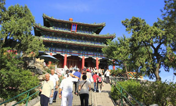A View of the Forbidden City from Jingshan Park