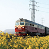 China Train Experience
