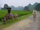 China Biking Tours
