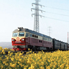 China Train Experience China Train Experience