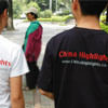 We provide a professional service