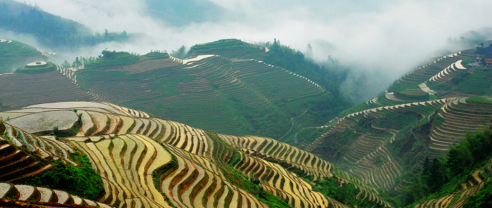 Longsheng Terraced Field Hiking Longsheng Terraced Field Hiking
